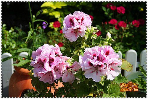 ��Ƭ 159_����.jpg