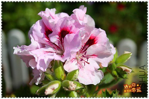 ��Ƭ 162_����.jpg