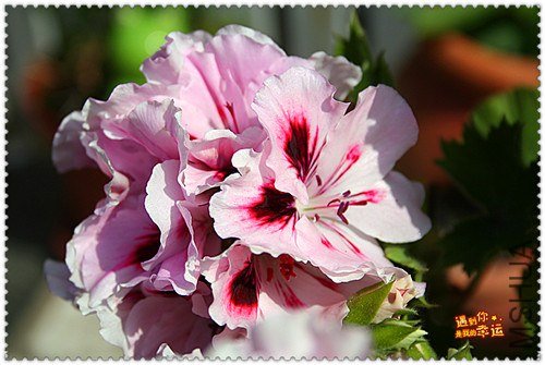 ��Ƭ 163_����.jpg