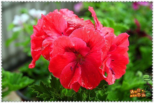 ��Ƭ 164_����.jpg