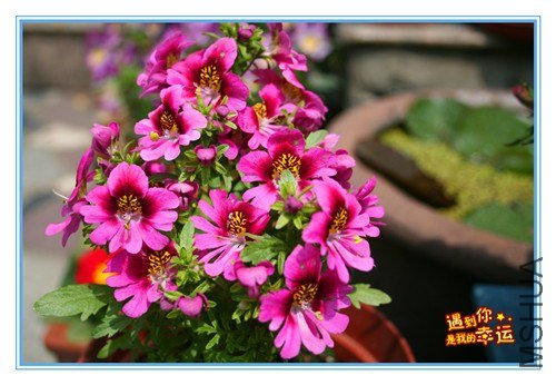 ��Ƭ 030_����.jpg