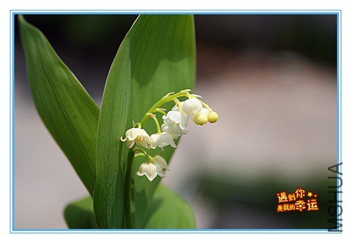 ��Ƭ 103m_����.jpg