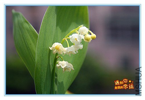 ��Ƭ 105_����.jpg