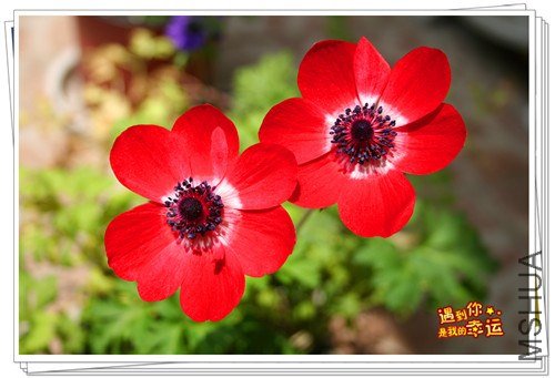 ��Ƭ 071_����.jpg