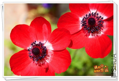 ��Ƭ 072_����.jpg