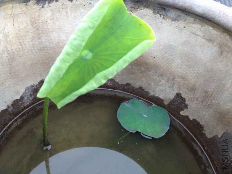 IMG_0763 (800x600).jpg