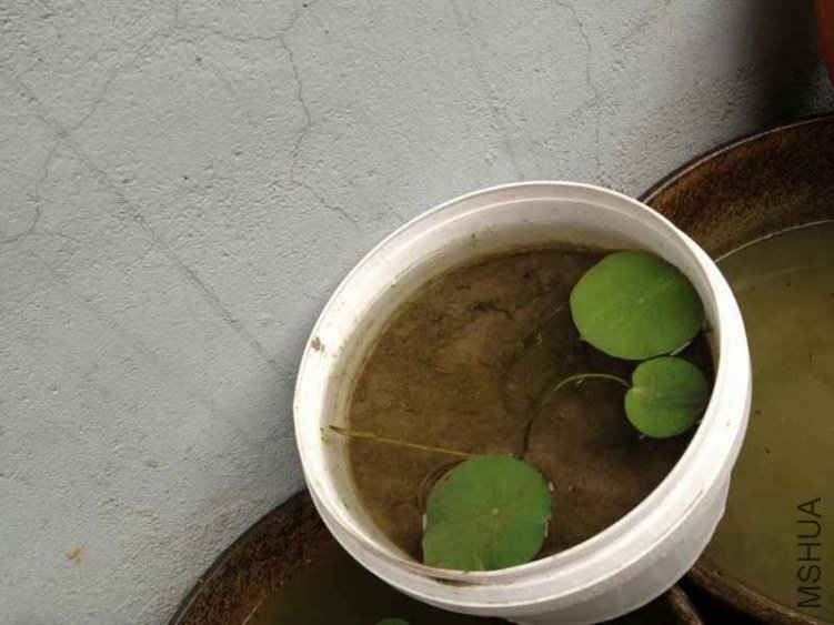 IMG_0774 (800x600).jpg