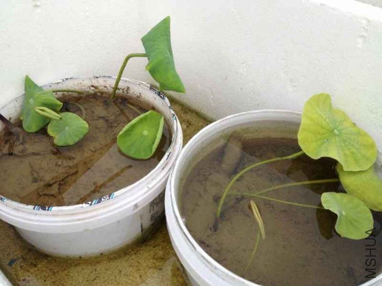 IMG_0762 (800x600).jpg