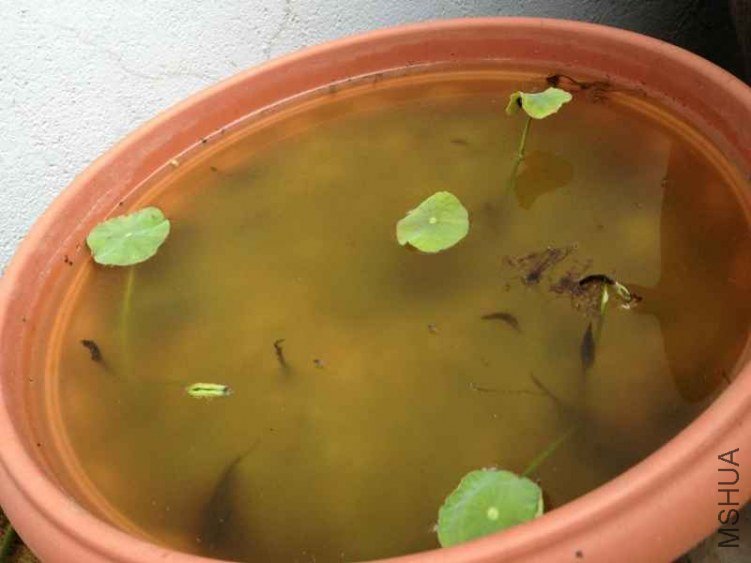 IMG_0773 (800x600).jpg