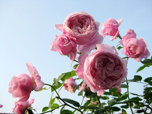 �¼��� 763.jpg