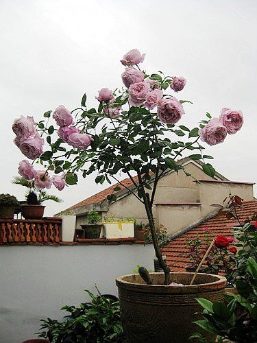 �¼��� 797.jpg