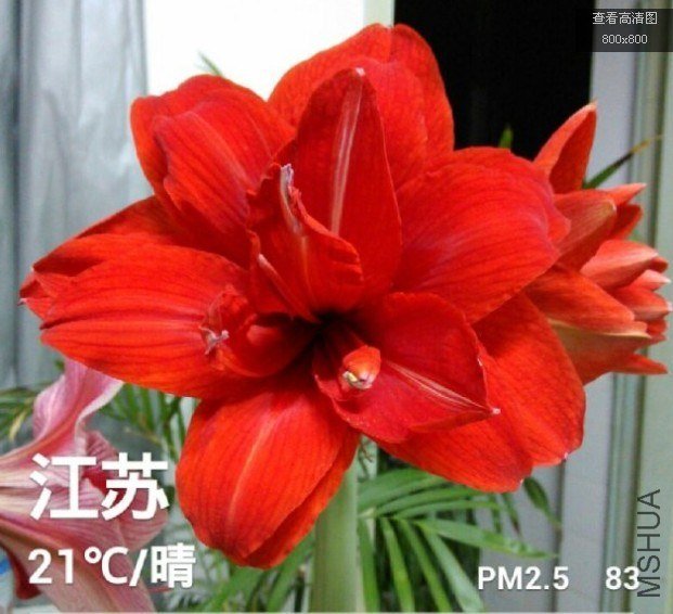 QQͼƬ20130519234704.jpg