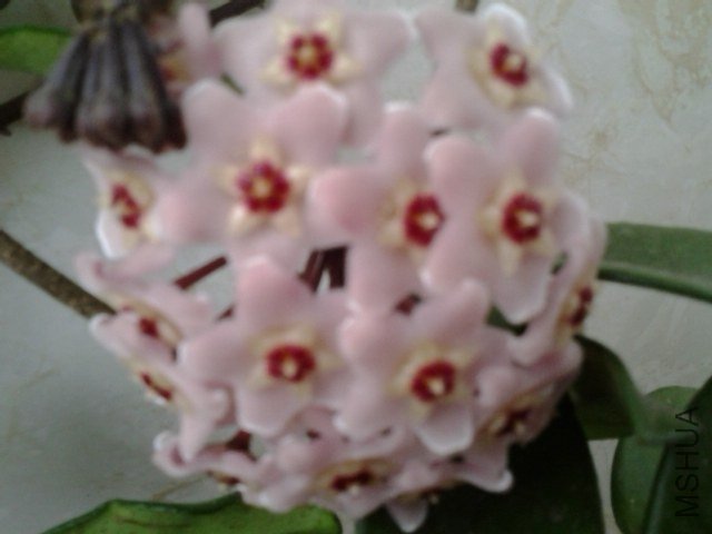20130520_062549.jpg