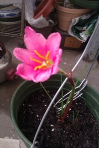 IMAG0177.jpg