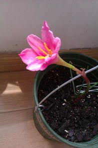 IMAG0179.jpg