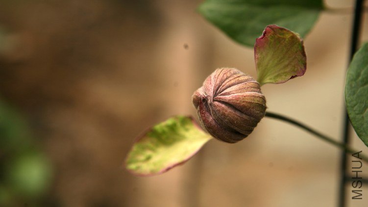 IMG_9876.JPG