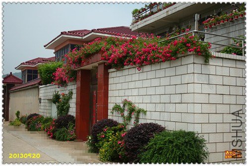 ��Ƭ 112_����.jpg