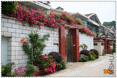 ��Ƭ 113_����.jpg