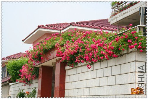 ��Ƭ 113a_����.jpg