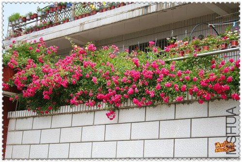 ��Ƭ 114_����.jpg