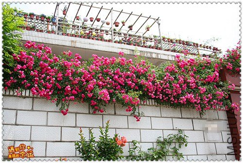 ��Ƭ 123_����.jpg