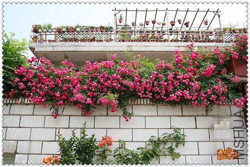 ��Ƭ 124_����.jpg