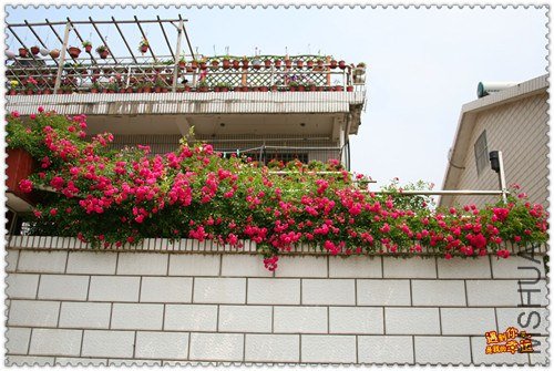 ��Ƭ 125_����.jpg