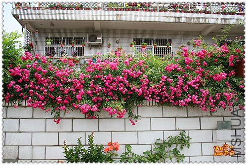 ��Ƭ 127_����.jpg