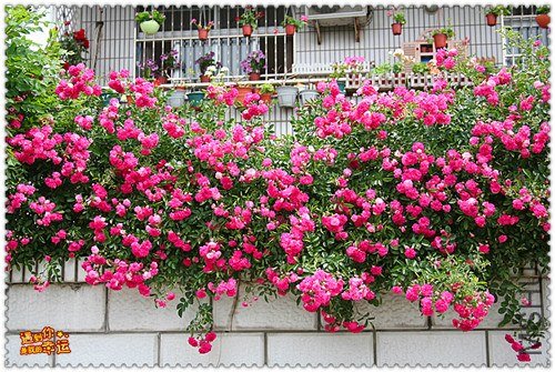 ��Ƭ 128_����.jpg