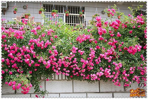 ��Ƭ 129_����.jpg