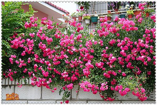 ��Ƭ 132_����.jpg