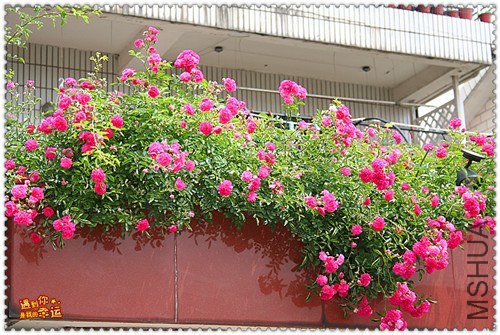 ��Ƭ 136_����.jpg