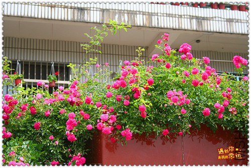 ��Ƭ 137_����.jpg