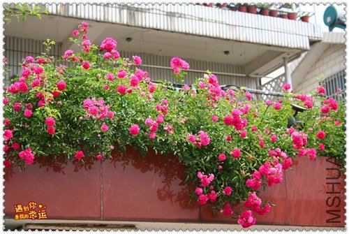 ��Ƭ 138_����.jpg