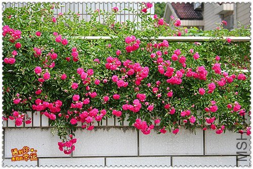 ��Ƭ 143_����.jpg