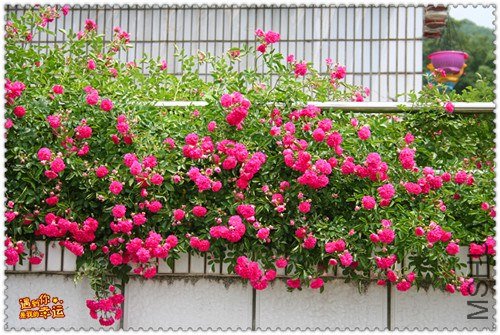 ��Ƭ 145_����.jpg