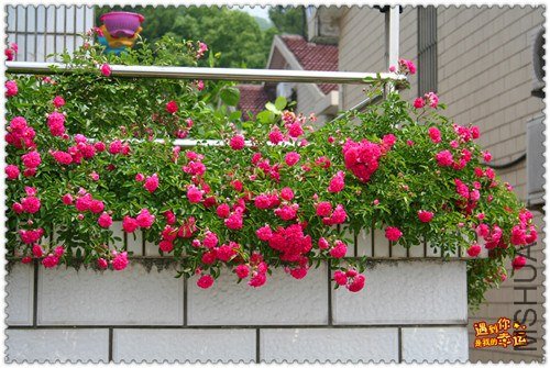 ��Ƭ 146_����.jpg