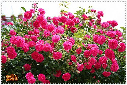 ��Ƭ 148_����.jpg