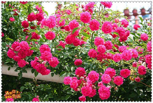 ��Ƭ 150_����.jpg