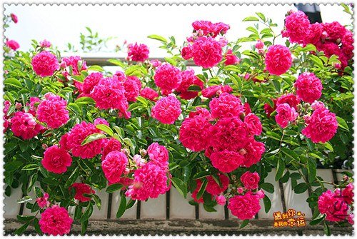 ��Ƭ 153_����.jpg