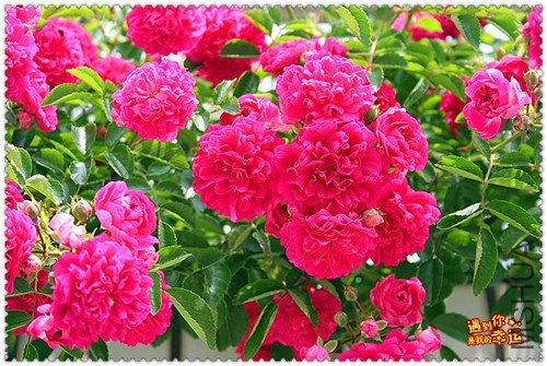 ��Ƭ 154_����.jpg