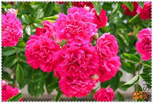 ��Ƭ 156_����.jpg