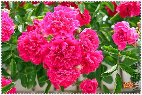 ��Ƭ 159_����.jpg