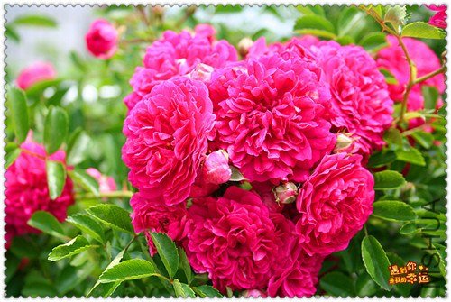 ��Ƭ 160_����.jpg