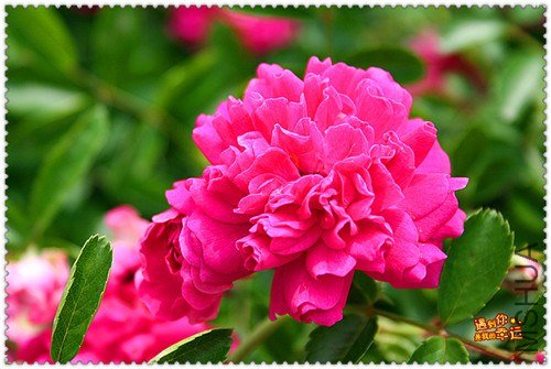 ��Ƭ 162_����.jpg