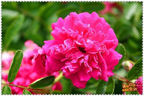 ��Ƭ 164_����.jpg