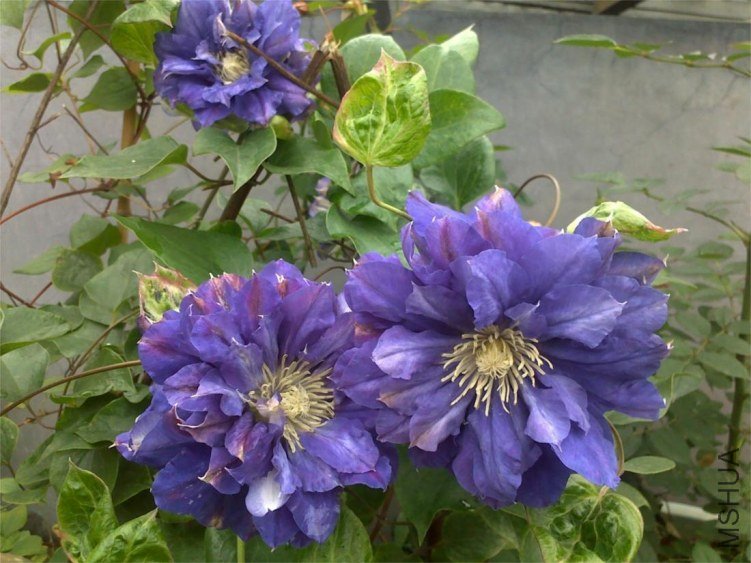 201304252107.jpg