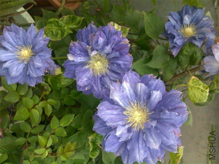 201304272180.jpg