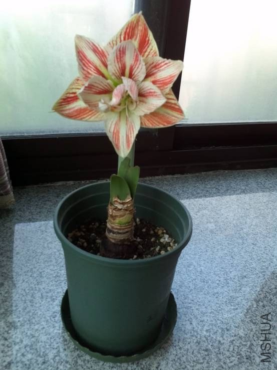 image028.jpg