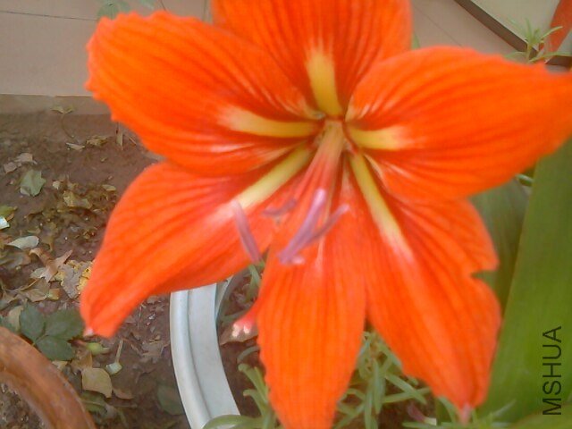 IMG0521093001.jpg
